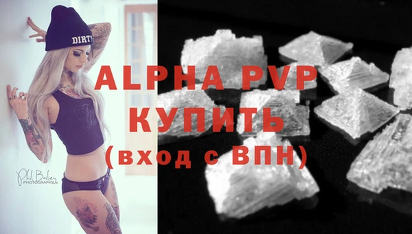 прущие грибы Горнозаводск