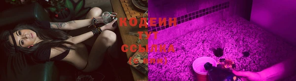 прущие грибы Горнозаводск