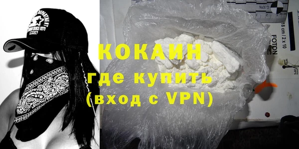 прущие грибы Горнозаводск
